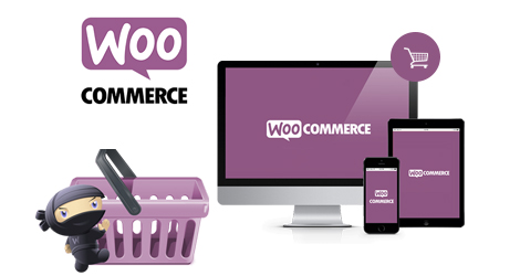 WooCommerce Development Company in Kitchener